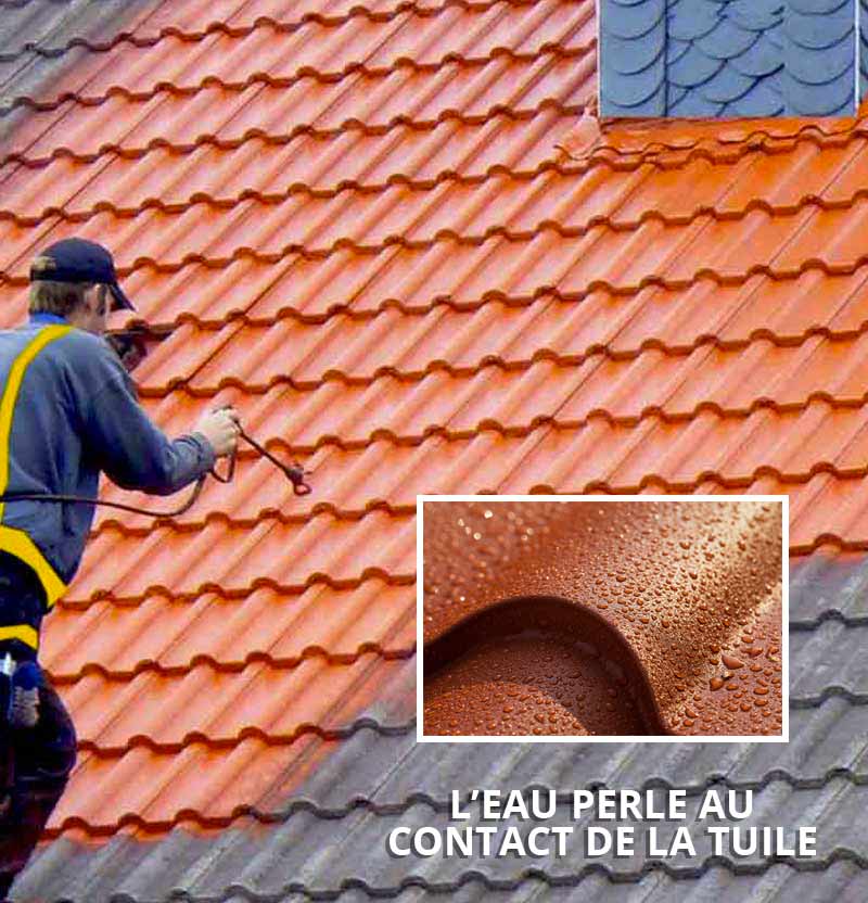 NETTOYAGE ET DÉMOUSSAGE TOITURE - MS TOITURE 47 dans le Lot-et-Garonne (47): nettoyage toit et protection anti-mousse. Revêtement peinture hydrofuge colorée sur couverture.