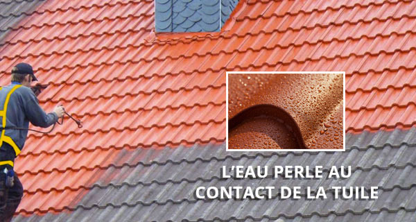 NETTOYAGE ET DÉMOUSSAGE TOITURE - MS TOITURE 47 dans le Lot-et-Garonne (47): nettoyage toit et protection anti-mousse. Revêtement peinture hydrofuge colorée sur couverture.